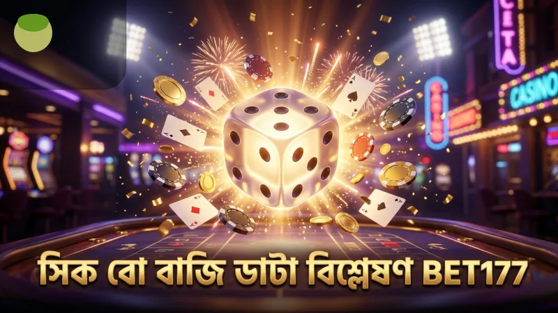 সিক বো বাজির বিভিন্ন ধরণের তুলনামূলক ডাটা বিশ্লেষণ।